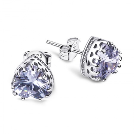 Fashion Wild 925 Silver Exquisite Hypoallergenic Heart-Shaped Earrings